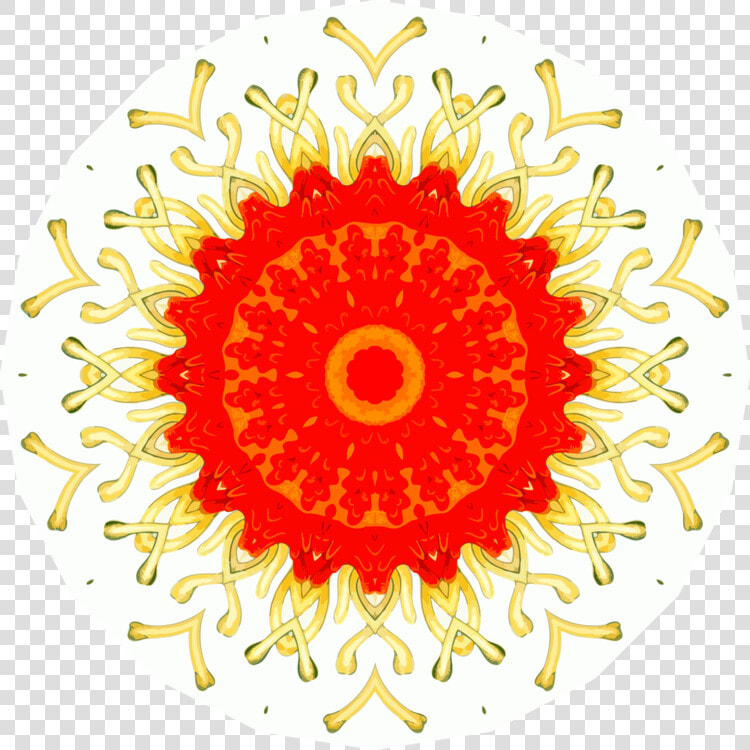 Visual Arts flower symmetry   10 Rs Price Tag  HD Png DownloadTransparent PNG