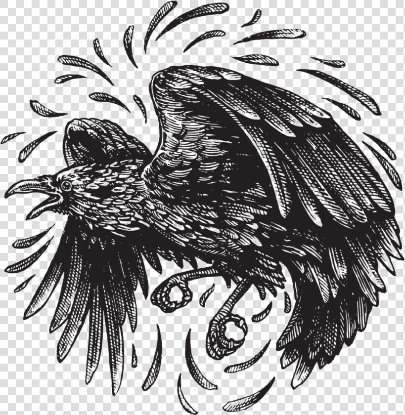 Redbubble raven   Illustration  HD Png DownloadTransparent PNG