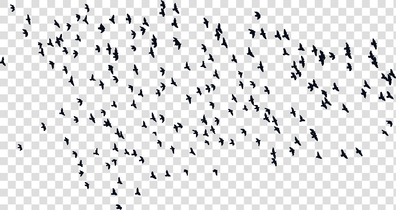 Input Flock Of Birds Silhouette   Png Download   Flock  Transparent PngTransparent PNG