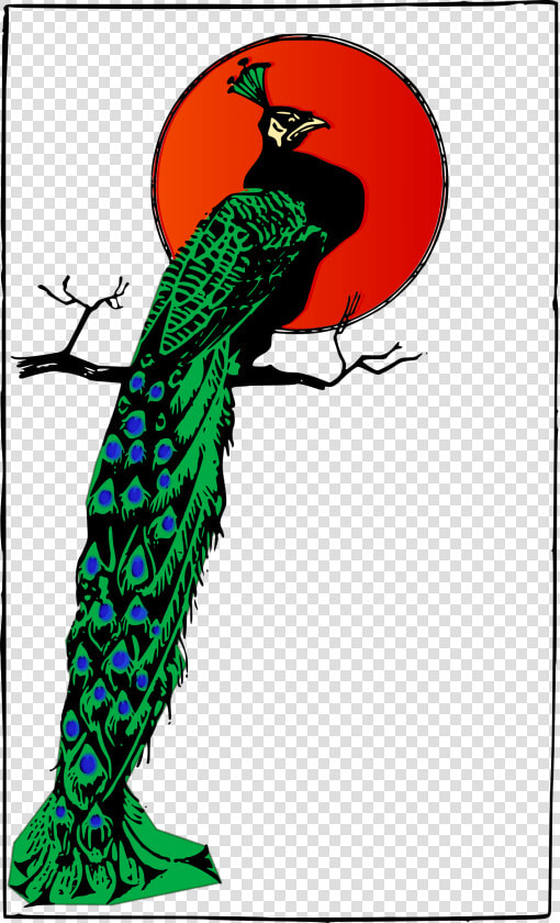 Angry Peacock Clip Arts   Angry Peacock  HD Png DownloadTransparent PNG