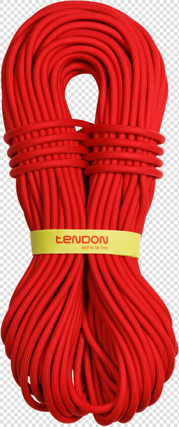 Tendon Master Pro   Dynamic Rope  HD Png DownloadTransparent PNG