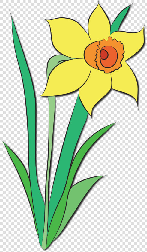 April Showers Bring May Flowers Clip Art Free   Daffodil Flower Clip Art  HD Png DownloadTransparent PNG