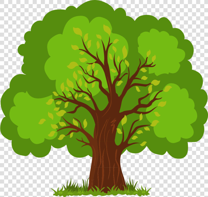 Euclidean Vector Tree   Vector Tree Png Clipart  Transparent PngTransparent PNG