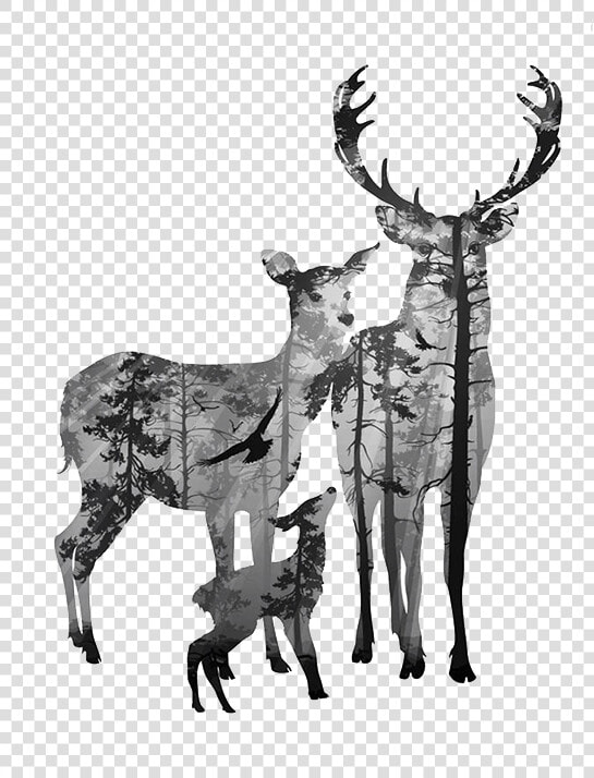 Deer Canvas Antler Clip Art   Black And White Deer Head Drawing  HD Png DownloadTransparent PNG