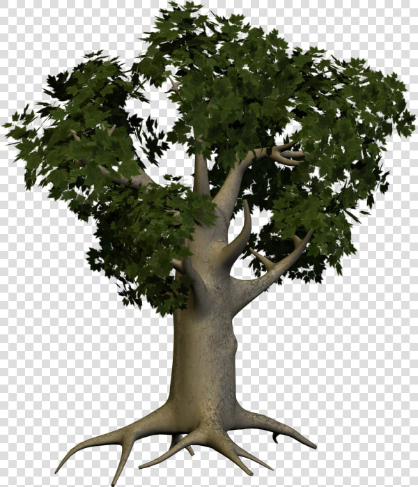 3d Papaya Tree Png   Big Tree Png  Transparent PngTransparent PNG