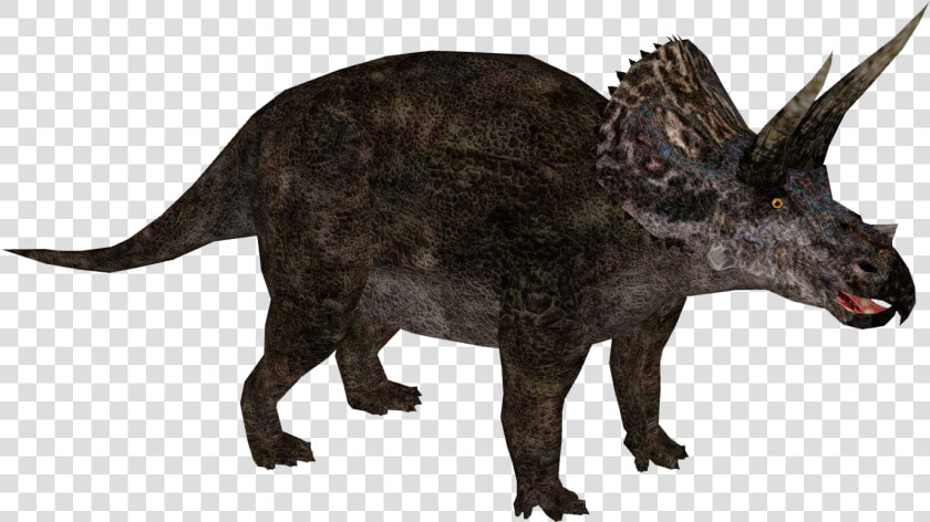 Triceratop Png Free Download   Triceratops Png  Transparent PngTransparent PNG