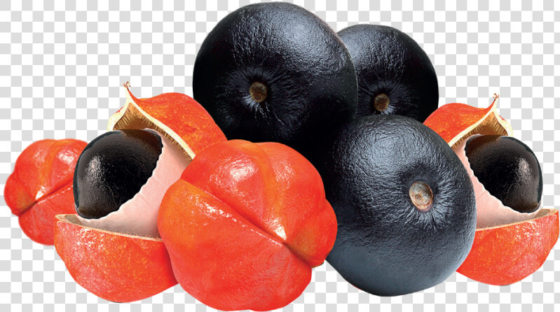 Bilberry  HD Png DownloadTransparent PNG