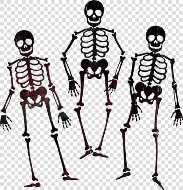 Squelettes Png  Dessin  Tube   Skeleton Black And White Png  Transparent PngTransparent PNG