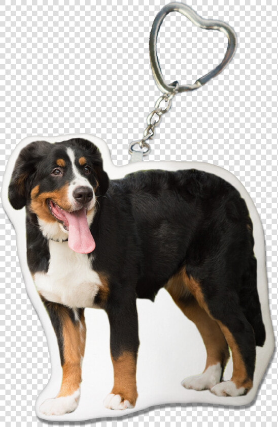 Bernese Mountain Dog Keychain   Bernese Mountain Dog  HD Png DownloadTransparent PNG