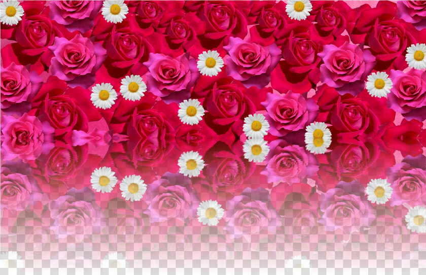 Red Rose Png  roses Love Romantic Red Rose Png Image   Love Romantic Rose Flower  Transparent PngTransparent PNG