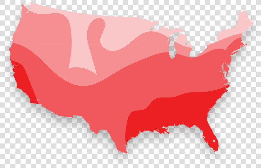 Termite Map   Gray Us Map Icon  HD Png DownloadTransparent PNG