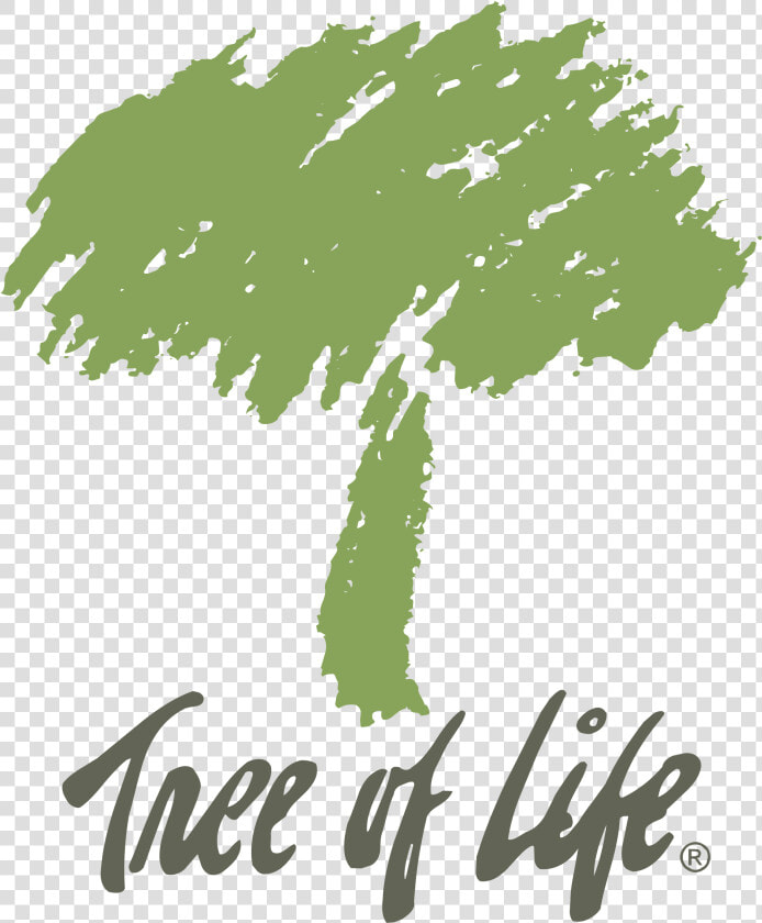 Tree Of Life Logo Png Transparent   Graphic Tree Of Life  Png DownloadTransparent PNG