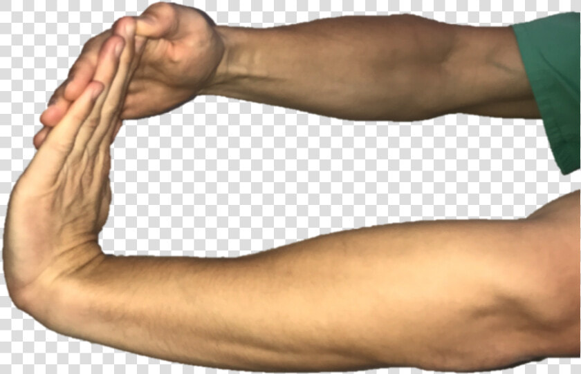 With Your Elbow Straight And Palm Facing The Floor    Palm And Elbow  HD Png DownloadTransparent PNG