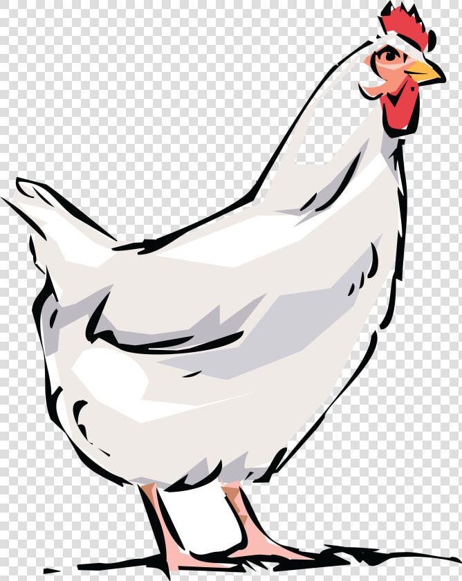 Chicken Cliparts For Free Chickens Clipart And Use   Transparent Chicken Clipart  HD Png DownloadTransparent PNG