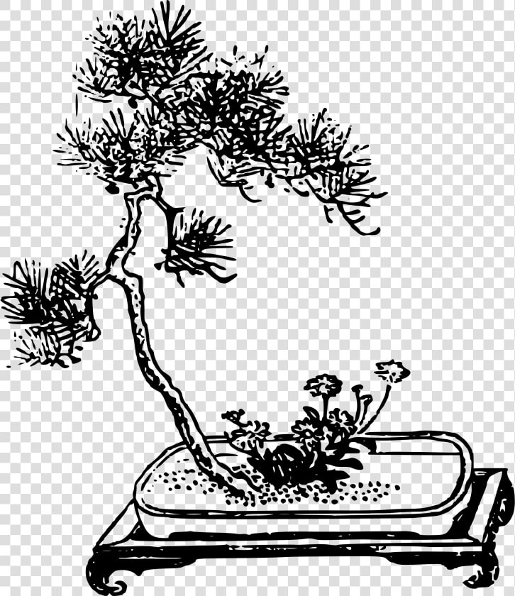 Bonsai With Flower Clip Arts   Bonsai Hitam Putih  HD Png DownloadTransparent PNG