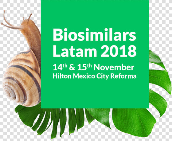 Image   Biosimilars Latam 2018  HD Png DownloadTransparent PNG