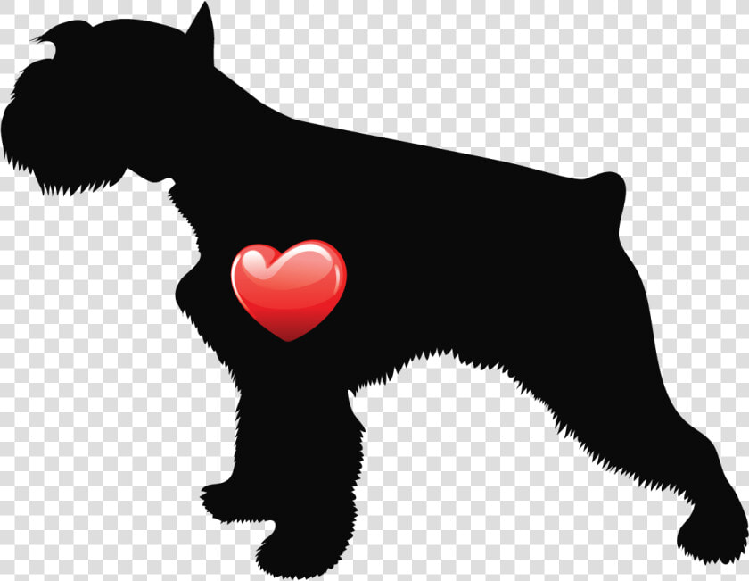 Miniature Schnauzer  HD Png DownloadTransparent PNG