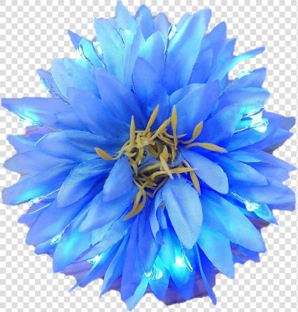 Blue Dahlia Flower Png  Transparent PngTransparent PNG