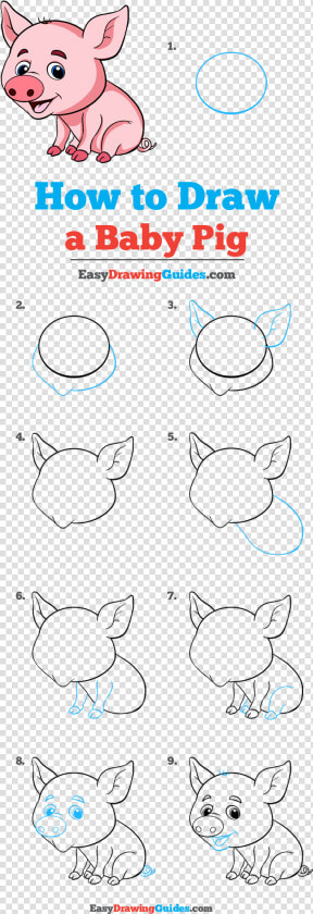 How To Draw Baby Pig   Step By Step Easy Pig Drawing  HD Png DownloadTransparent PNG