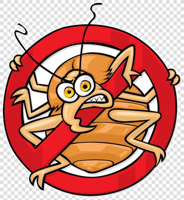 Bedbug page   No Bed Bugs  HD Png DownloadTransparent PNG