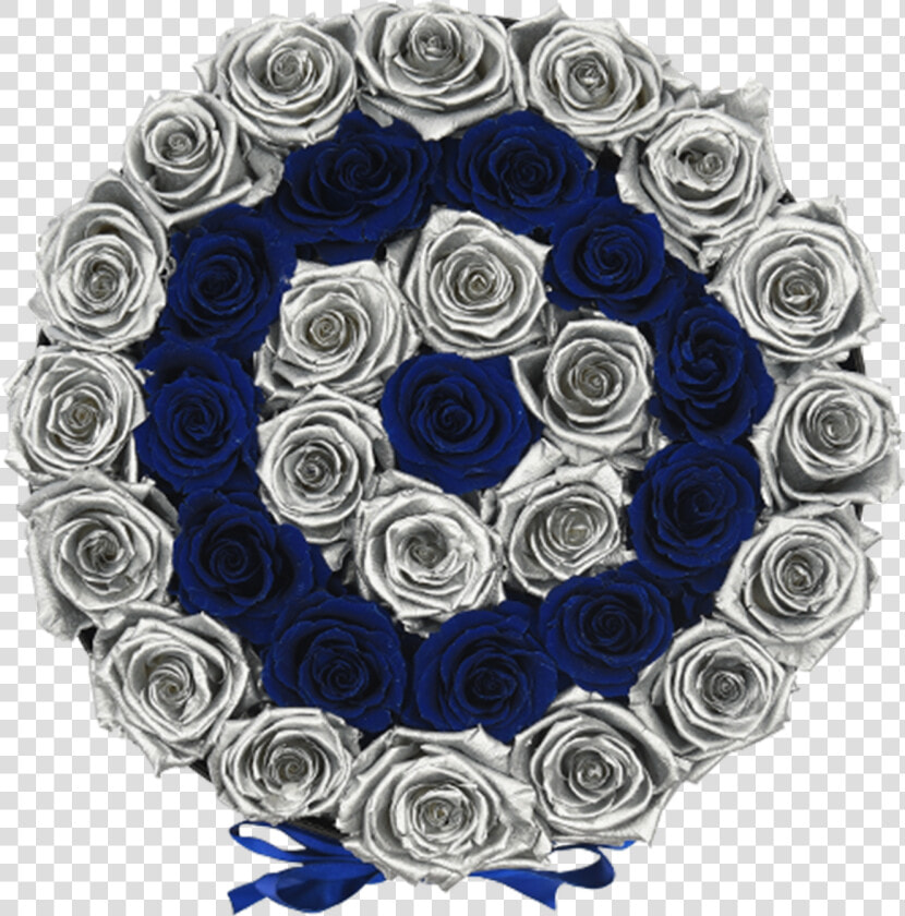 Orb Grand Blue And Silver Rows Roses Class Lazyload   Crystal  HD Png DownloadTransparent PNG