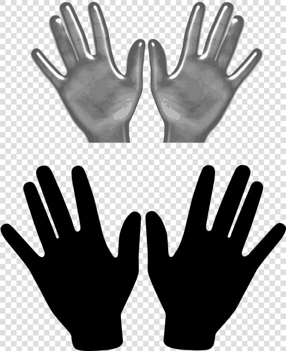 Hands  Fingers  Spread  Left  Right  Chirality   Two Hands Clipart  HD Png DownloadTransparent PNG