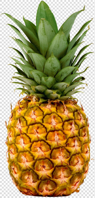 Pineapple  Pineapples Fresh Imports   Transparent Pineapple  HD Png DownloadTransparent PNG