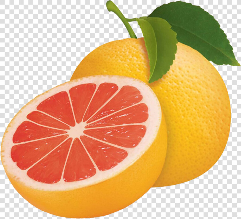 Grapefruit Png Image   Grapefruit Clipart Png  Transparent PngTransparent PNG