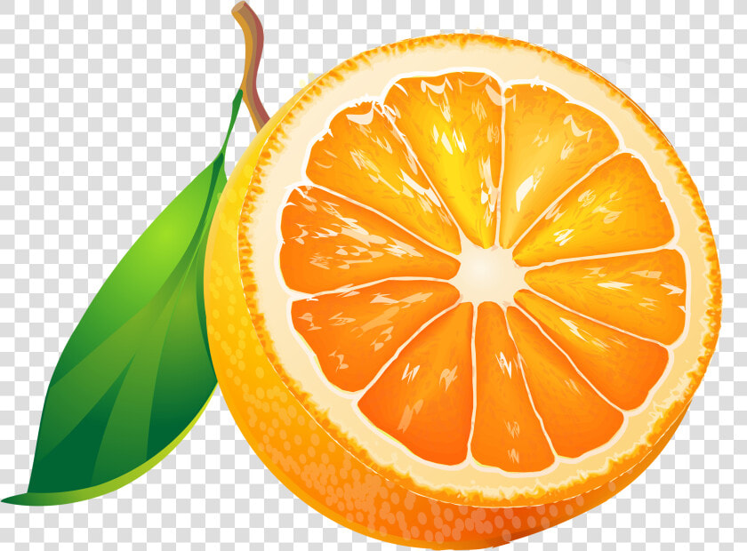 Tangerine Clipart Clip Art  HD Png DownloadTransparent PNG