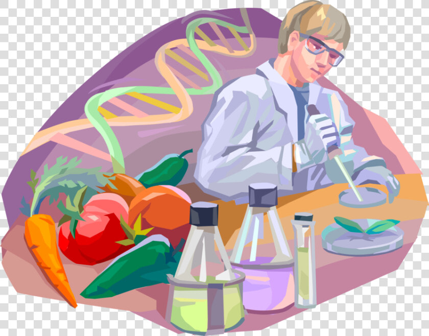 Vector Illustration Of Gmo Genetic Engineering Modified   Genetically Modified Foods Vector  HD Png DownloadTransparent PNG