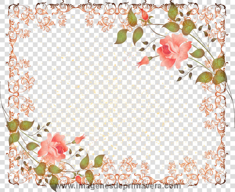 Marcos De Primavera Gratis   Rose  HD Png DownloadTransparent PNG