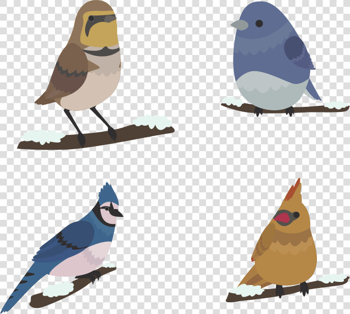 Bird Winter Euclidean Vector   Mountain Bluebird  HD Png DownloadTransparent PNG