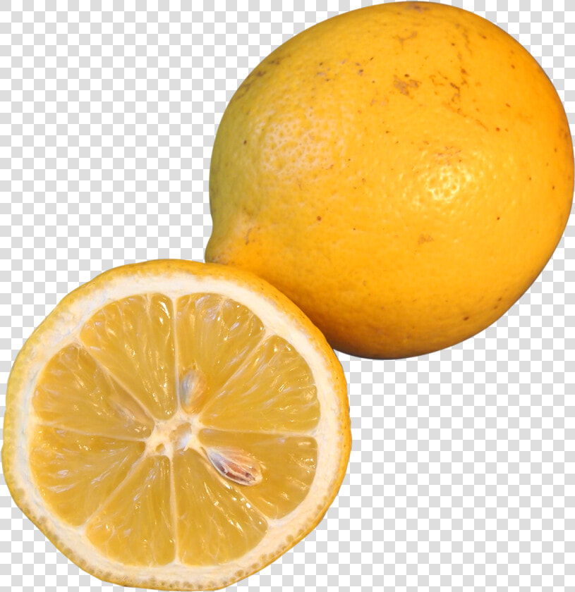 Pngpix   Lemon Slice Transparent  Png DownloadTransparent PNG