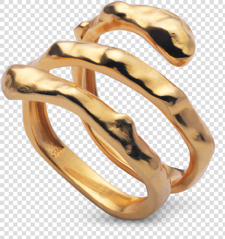 Anya Ring Maanesten  HD Png DownloadTransparent PNG