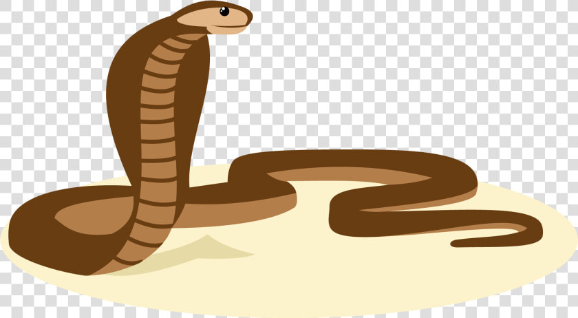 Snake Vector Reptile Cartoon Illustration   Snake Vector Png  Transparent PngTransparent PNG