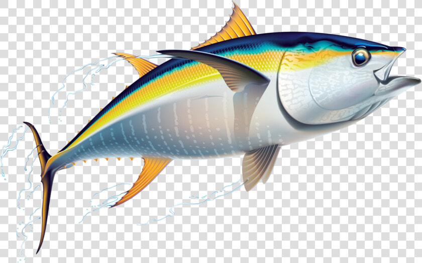 Marlin Clipart Offshore Fishing   Tuna Clipart  HD Png DownloadTransparent PNG