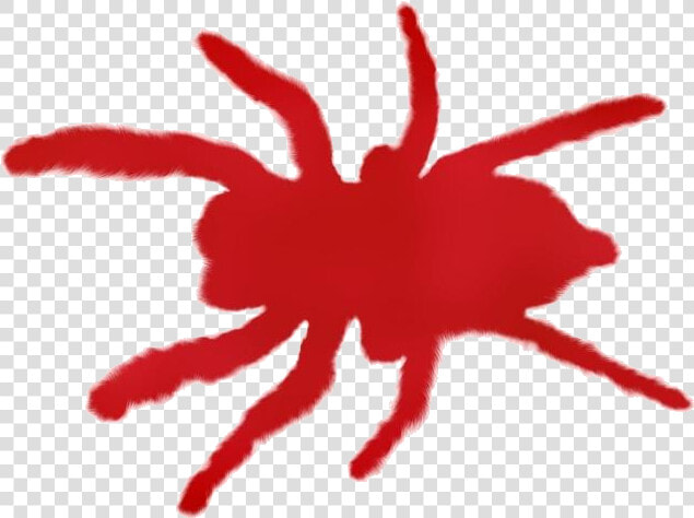 Colorful Scary Spiders Png Clipart   Illustration  Transparent PngTransparent PNG