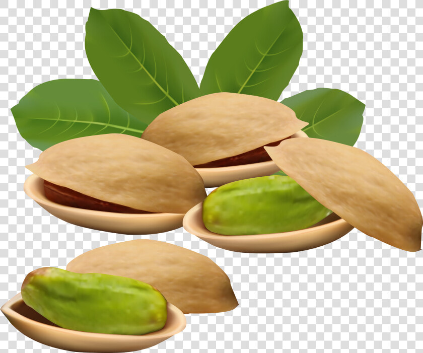 Pistachio Nuts Png Clipart Image   Pistachio Png  Transparent PngTransparent PNG