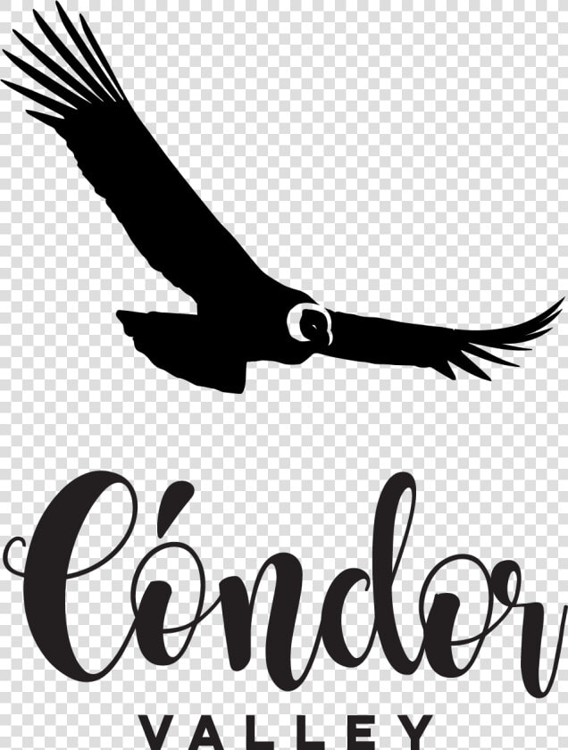 Condor Png   Png Download   Condor Png  Transparent PngTransparent PNG