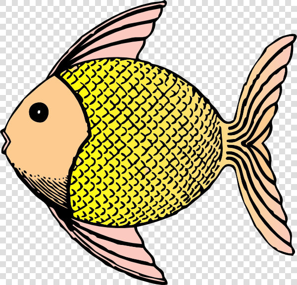 Fish Scales Png   Fish With Scales Clipart  Transparent PngTransparent PNG