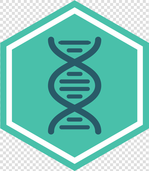 Life Sciences   Seattle Public Library  HD Png DownloadTransparent PNG