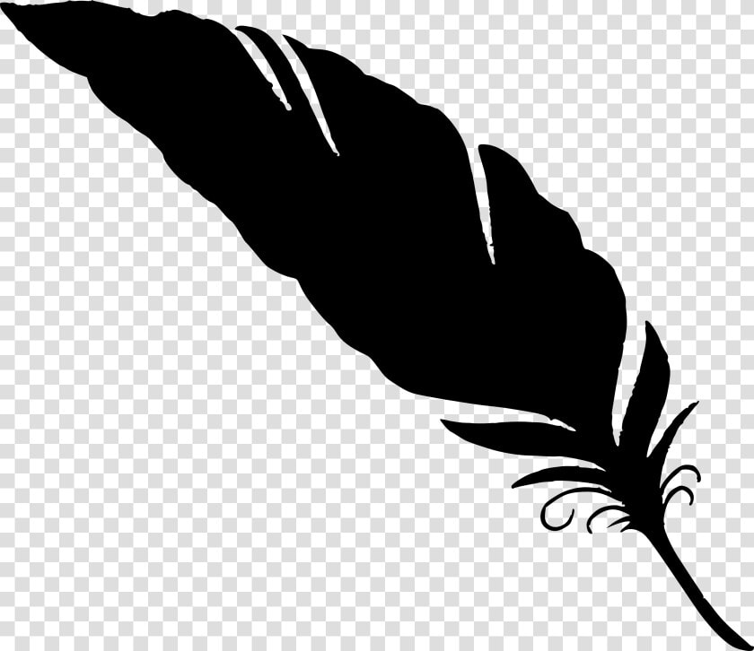 Feather Png Image With Transparent Background   Black Transparent Background Feather Png  Png DownloadTransparent PNG