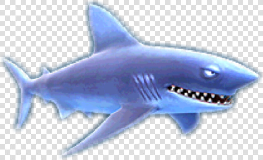 Hungry Shark Wiki   Hungry Shark Evolution  HD Png DownloadTransparent PNG