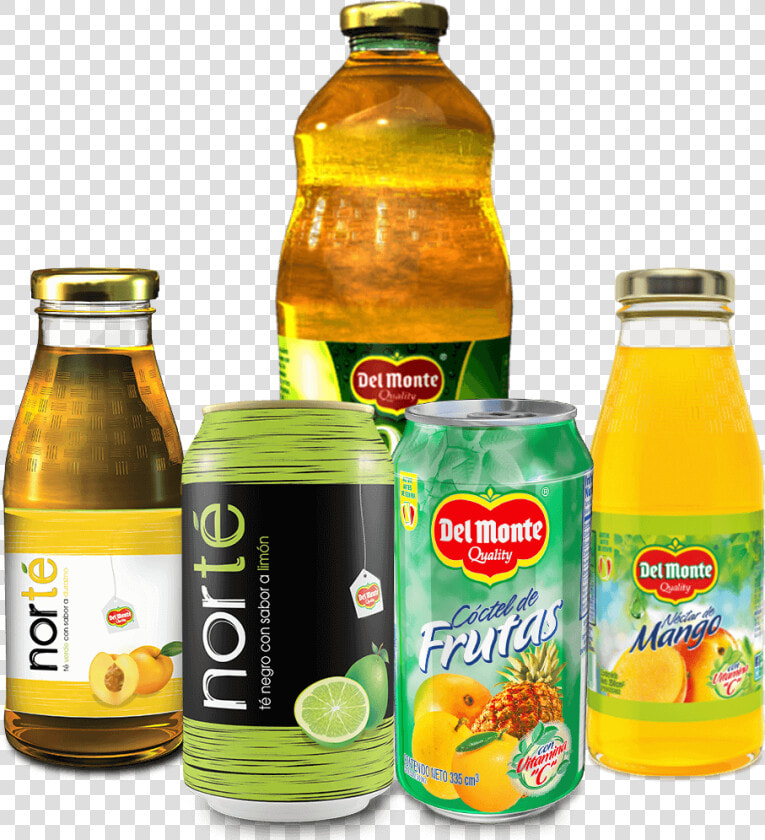 Delmonte Bebidas   Orange Soft Drink  HD Png DownloadTransparent PNG