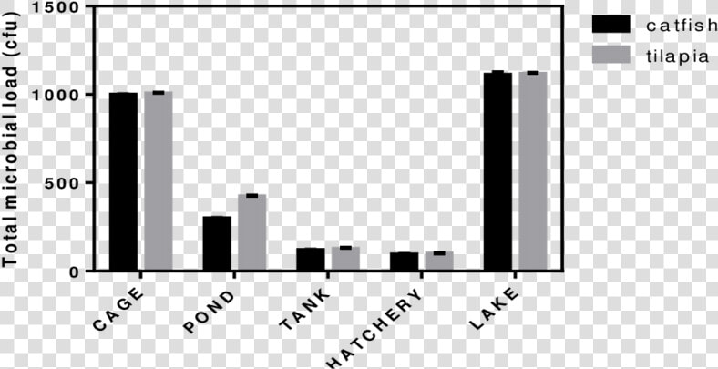 Total Microbial Load On Surfaces Of Tilapia And Catfish   Skyline  HD Png DownloadTransparent PNG