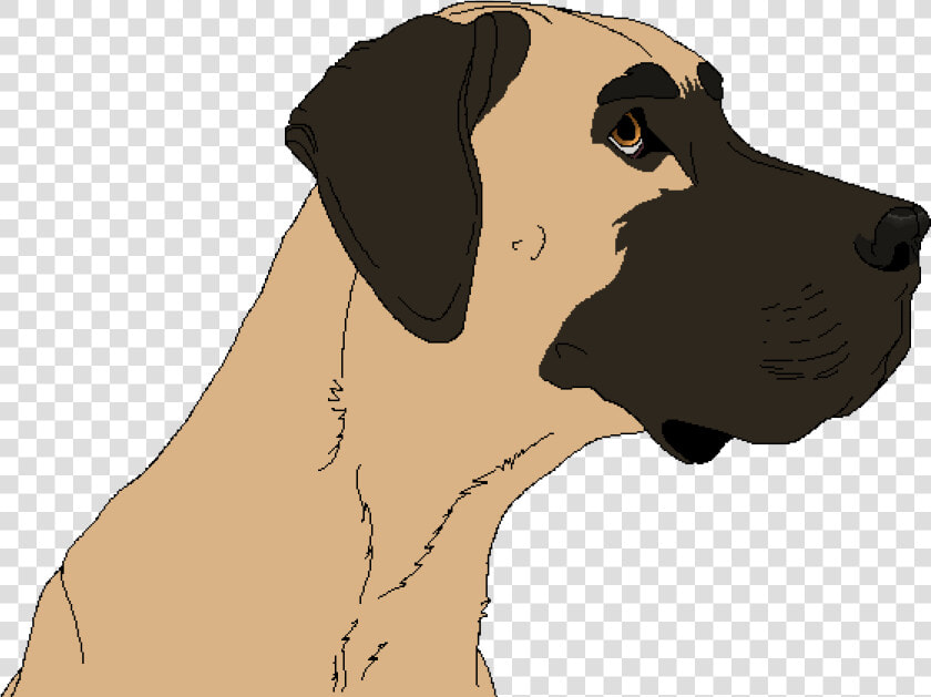 Great Dane Png  Transparent PngTransparent PNG