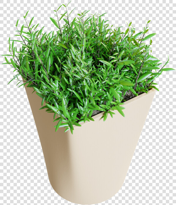 Flowerpot  HD Png DownloadTransparent PNG