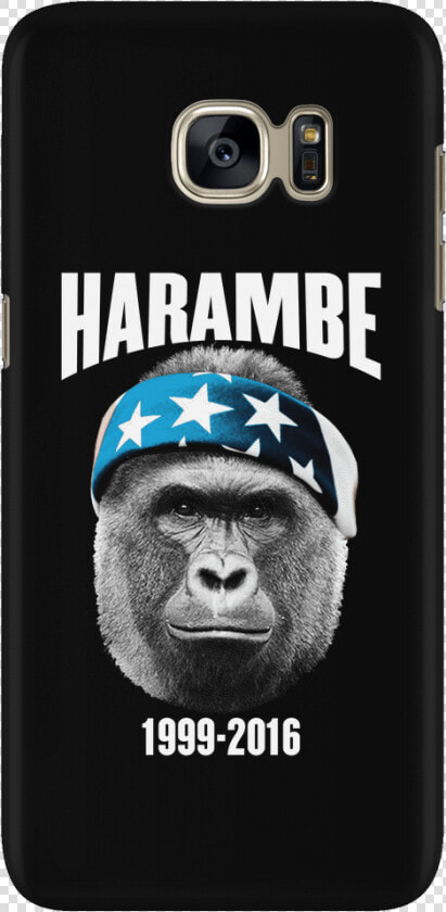 Harambe Png  Transparent PngTransparent PNG