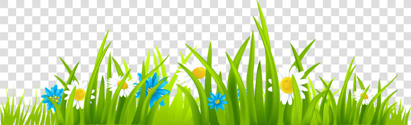 Grass Border Clipart Png   Grass And Flower Vector  Transparent PngTransparent PNG