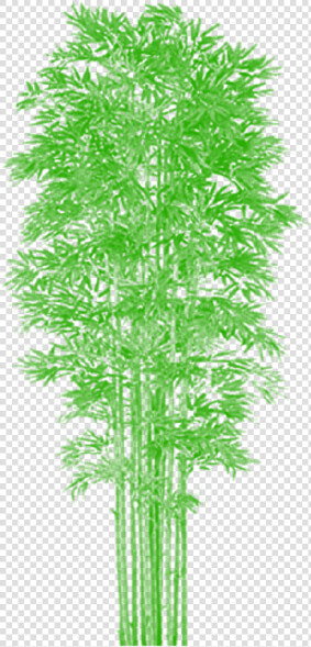 Bamboo Tree Clipart Clip Art Royalty Free Bamboo Tree   Vector Png Bamboo Tree Psd Plan  Transparent PngTransparent PNG